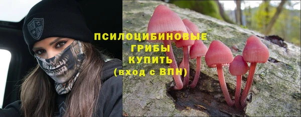 молекула духа Беломорск