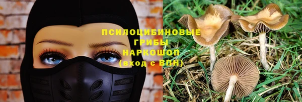 мяу мяу мука Белокуриха