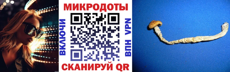 Галлюциногенные грибы GOLDEN TEACHER  закладка  Луховицы 