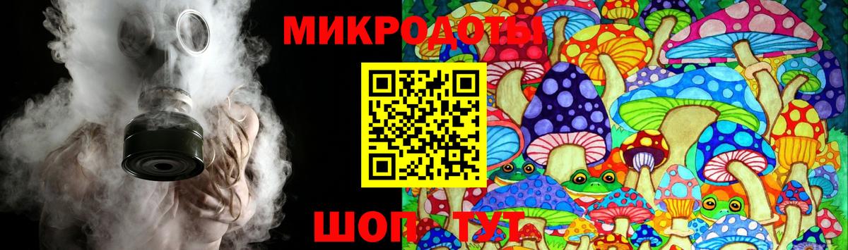 Галлюциногенные грибы Psilocybine cubensis Луховицы